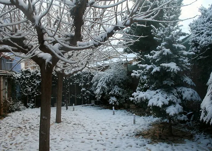 乡村民宿 La Casona Del Solanar *